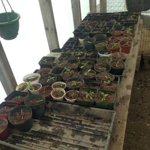 Spring Update